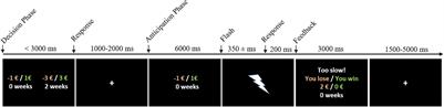 Comparing Discounting of Potentially Real Rewards and Losses by Means of Functional Magnetic Resonance Imaging